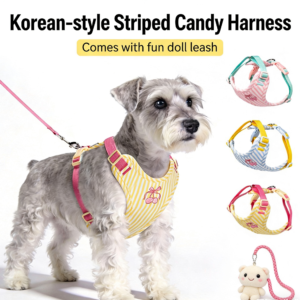 Home timeless classic collection